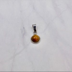 Eye of The Tiger Pendanth